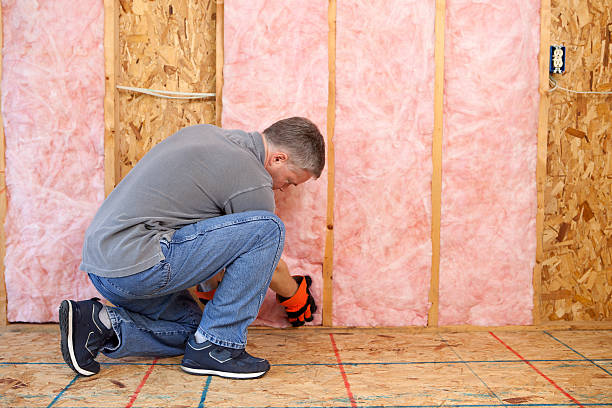 Best Insulation Maintenance and Repair in Five Points, FL