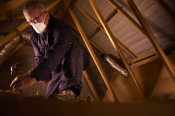 Types of Insulation We Offer in Five Points, FL
